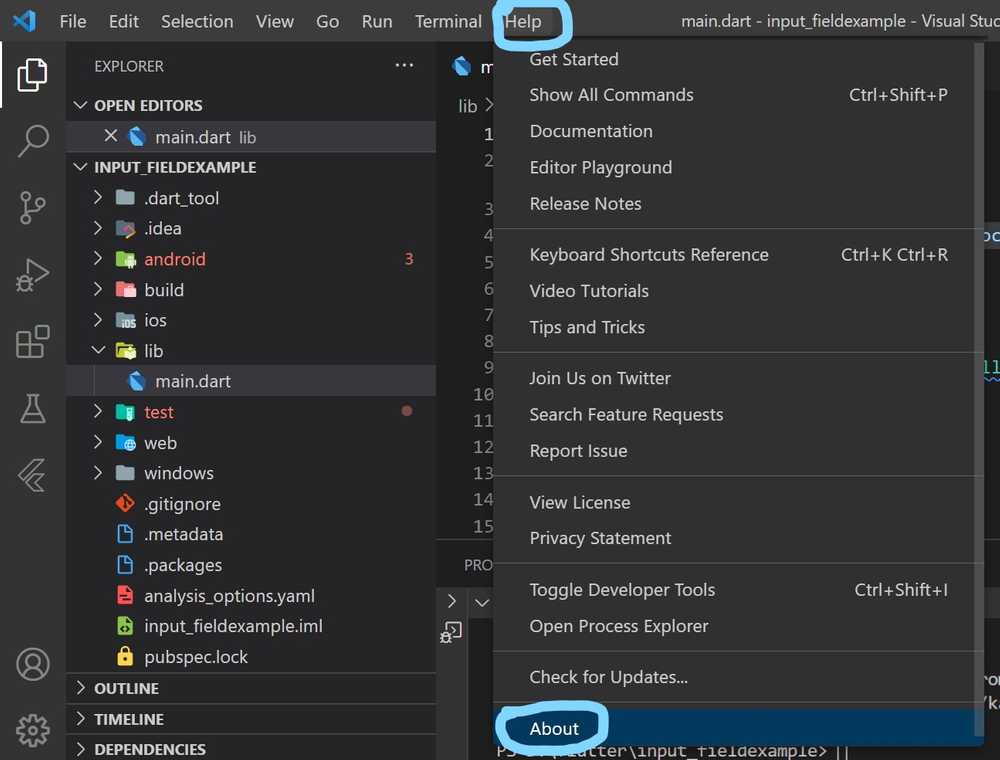VS Code Check Version
